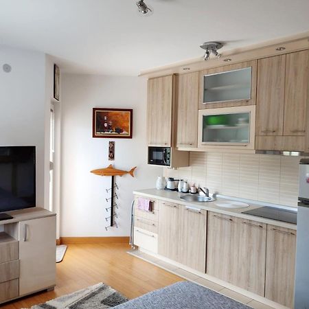 Apartman Lux Sneznik Vrnjačka Banja Kültér fotó